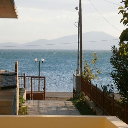 Artemis - Marina Apartments Evia 外观 照片
