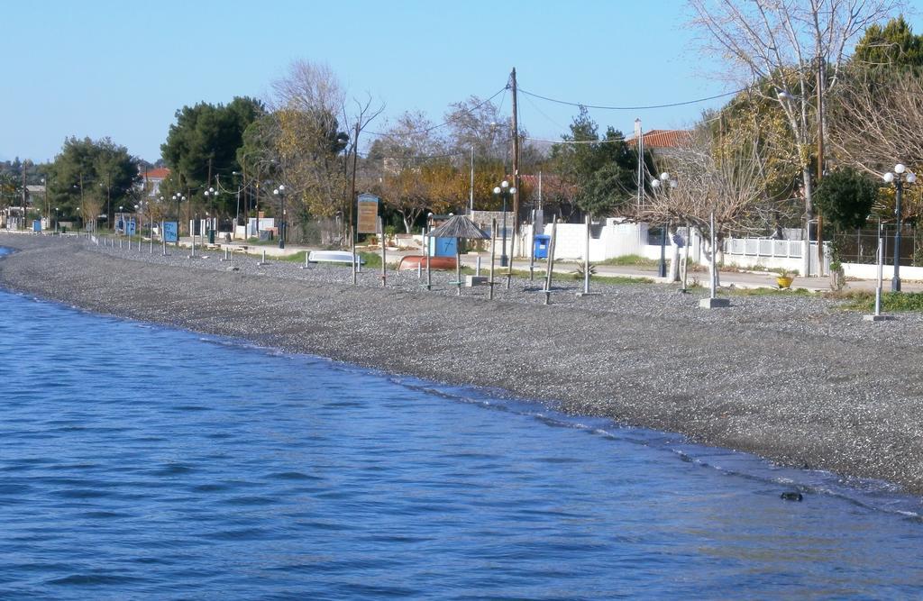 Artemis - Marina Apartments Evia 客房 照片