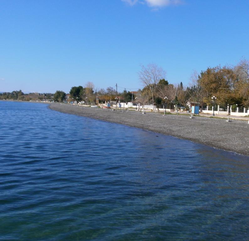 Artemis - Marina Apartments Evia 客房 照片