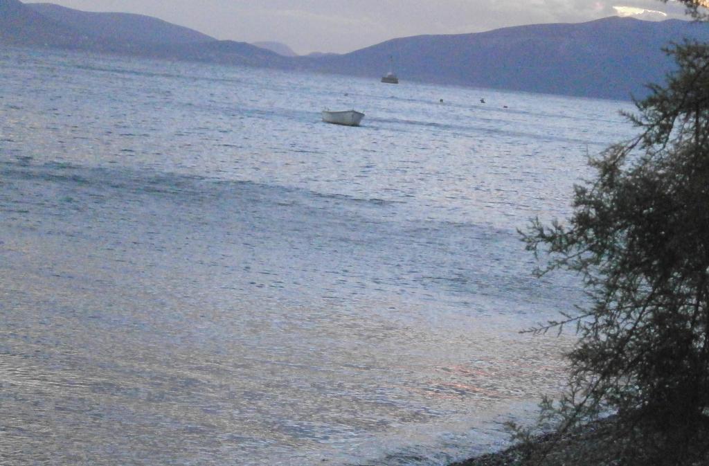 Artemis - Marina Apartments Evia 客房 照片