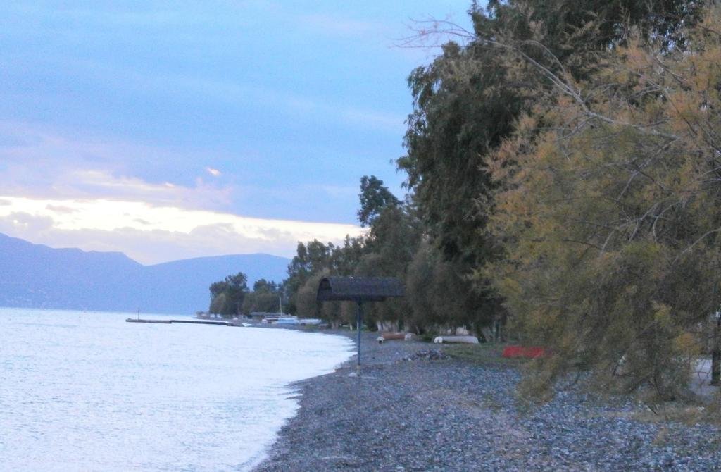 Artemis - Marina Apartments Evia 客房 照片