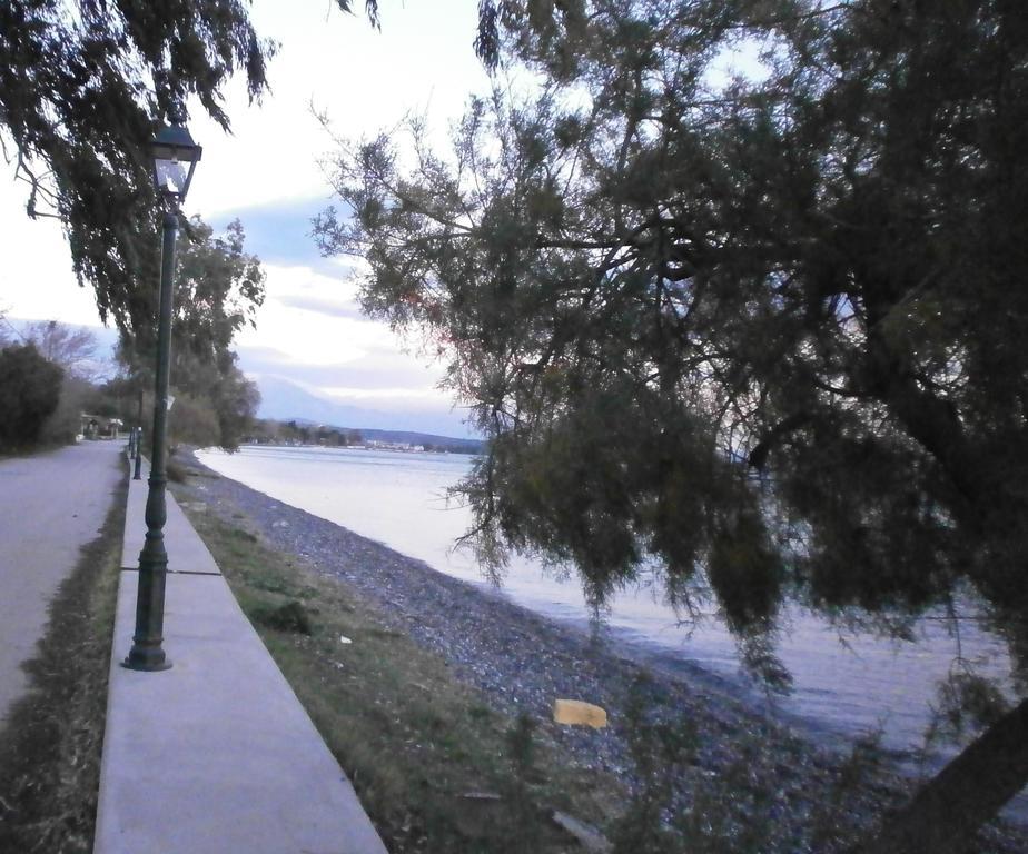 Artemis - Marina Apartments Evia 客房 照片