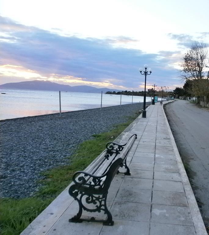 Artemis - Marina Apartments Evia 客房 照片