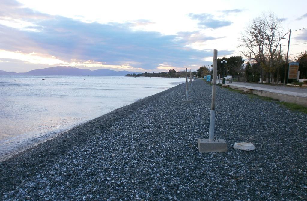 Artemis - Marina Apartments Evia 客房 照片