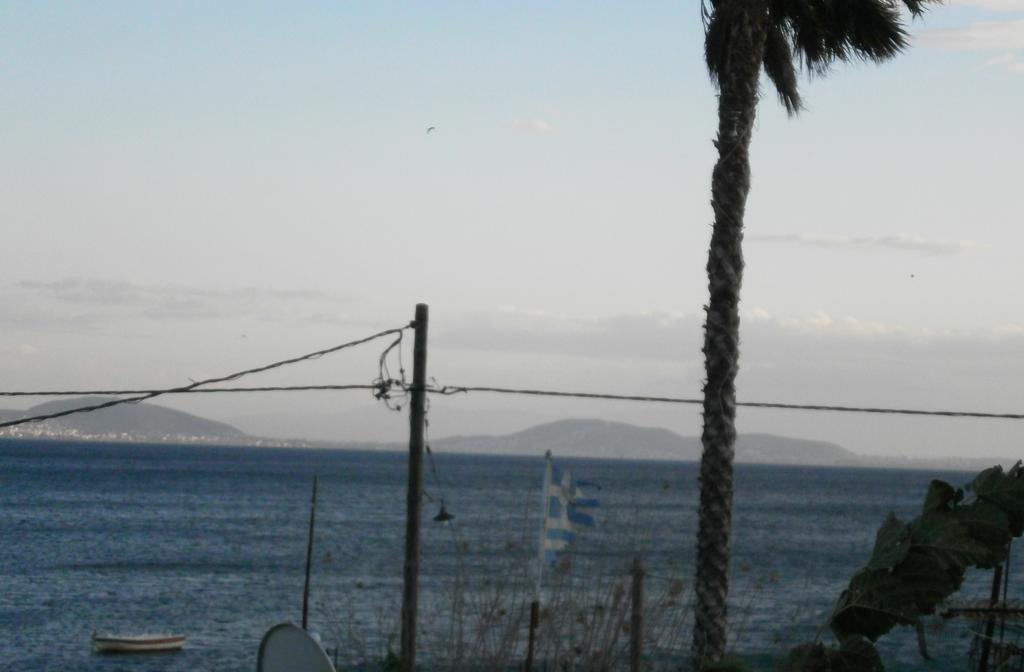 Artemis - Marina Apartments Evia 客房 照片