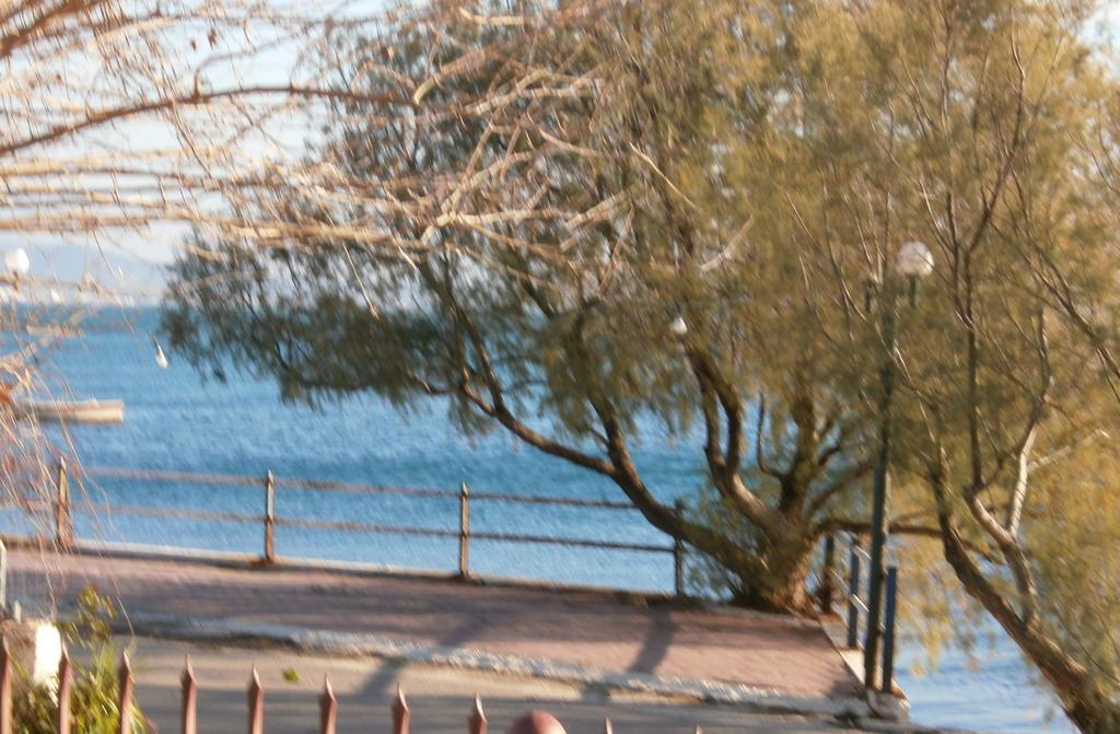 Artemis - Marina Apartments Evia 客房 照片