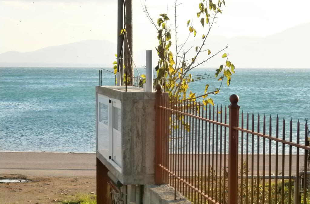 Artemis - Marina Apartments Evia 客房 照片