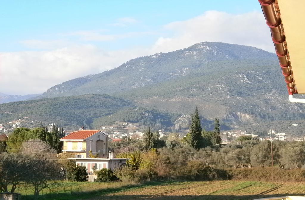 Artemis - Marina Apartments Evia 客房 照片