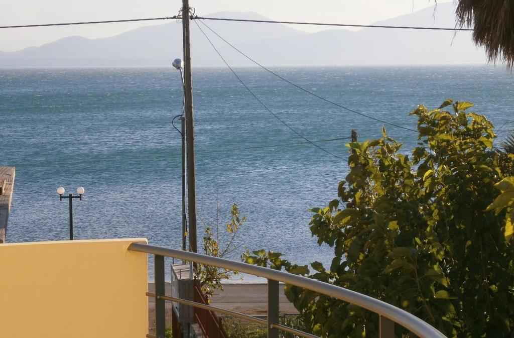 Artemis - Marina Apartments Evia 客房 照片